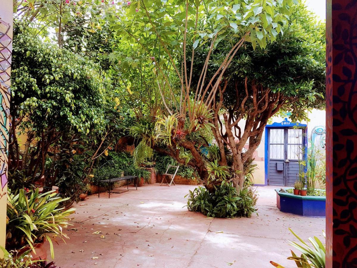 Albergue Qhia San Cristóbal de Las Casas Exterior foto
