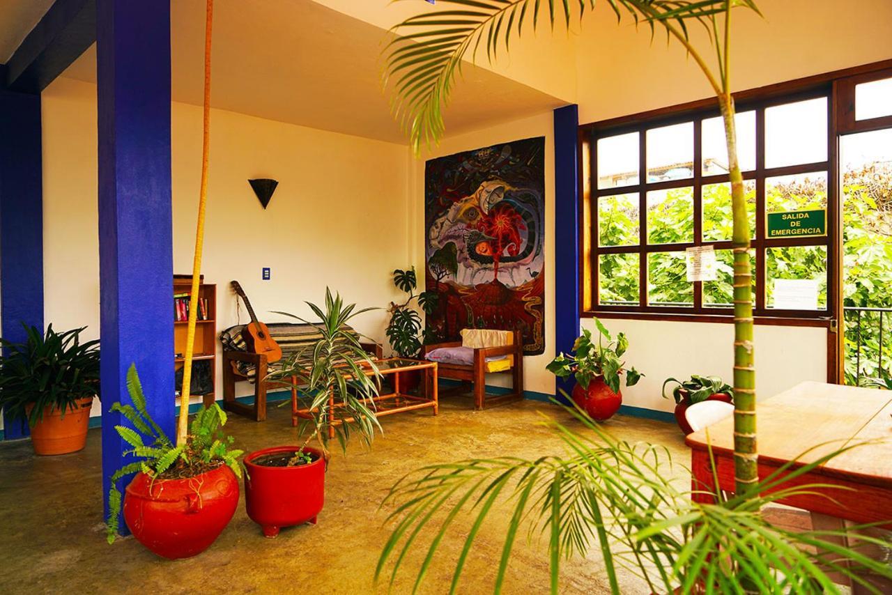 Albergue Qhia San Cristóbal de Las Casas Exterior foto