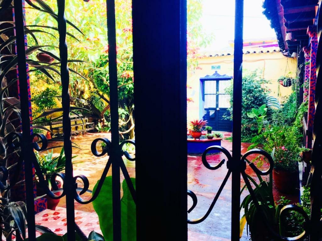 Albergue Qhia San Cristóbal de Las Casas Exterior foto